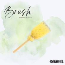 C3055 - Brush Sünger Fırça